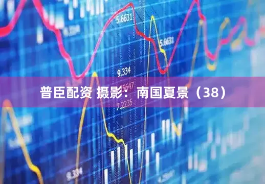 普臣配资 摄影：南国夏景（38）