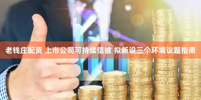 老钱庄配资 上市公司可持续信披 拟新设三个环境议题指南